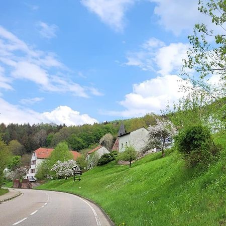 Family House Apartment Eberbach  Exterior photo